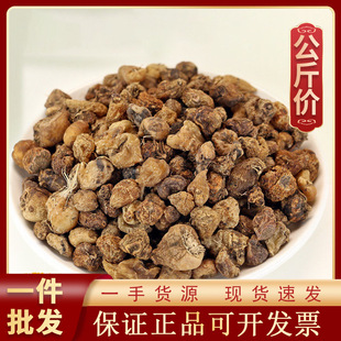 1000gɽ�ȹ���ș�ĬF؛���l������؛Դ�^�S�� ɽ�ȹ� ë�ȹ�