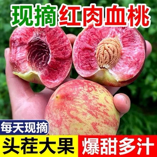 新鲜血桃正宗胭脂红血桃红肉桃子当季毛桃离核血桃孕妇宝宝桃水果