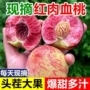 新鲜宝宝孕妇正宗水果