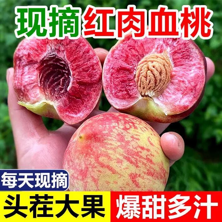Fresh Blood Peach, Authentic Carmine Blood Peach, Red Flesh Peach, Seasonal Hairy Peach, Seedless Blood Peach, Pregnant Women and Baby Peach Fruit