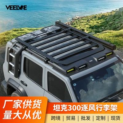 Modification Folding Ladder Expansion — Roof rack
