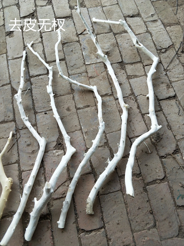 。Arquivos de flores de ramas secas de madera tronco artístico ramas secas maderas secas de madera secas descorpeadas modelado percha de pared paquete de tronco