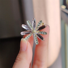 �¿�r���r�����Ů�ߙn���|�ٴ���W�t���b���߹�e��ػ�2023