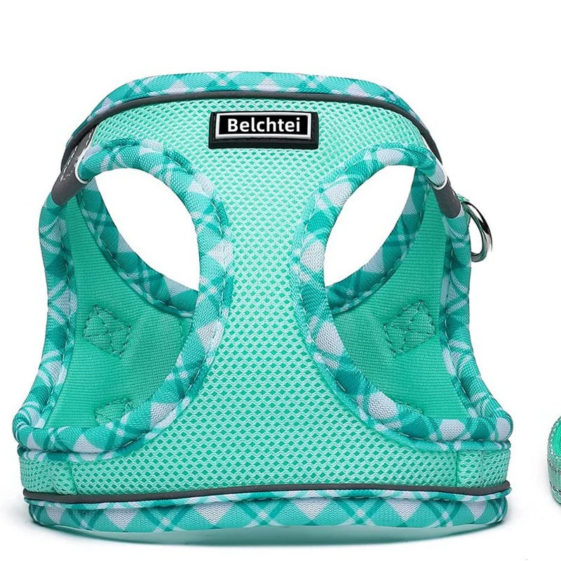 Нагрудный ремень Жилет Тип Тяговая веревка Собака Прогулочная веревка Кошка Веревка Симпатичные маленькие собаки Товары для домашних животных Anti-break Free