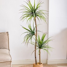 ����Gֲ�����m�٘�ǧ��ľֲ���p�������҃ȿ͏dܛ�b�������쾰