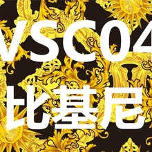 VSC�W����ɫ���y���w�Ȼ���Ӿ�¶ȼٕr���Ը�
