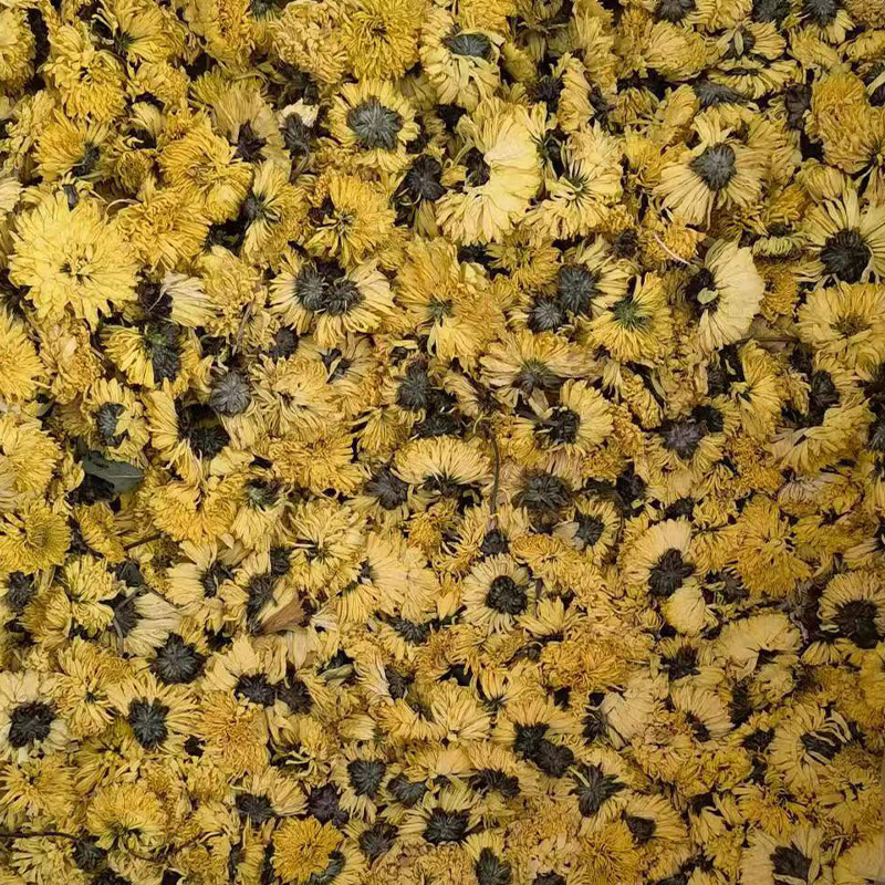 69696809d971978490cbad509a23cc