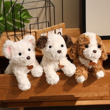 �ɐۼ�����С����żë�q�������С꠹�����ż��ͯŮ���նY��[��