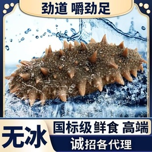 ����10A�����B�߶˼�ʳ����500g�̅���ʳ���� �S�����l ��S�l؛