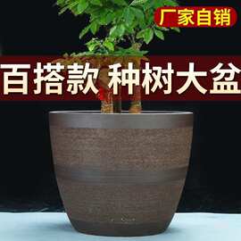 特大号粗陶紫砂花盆绿萝多肉种菜种树百搭大号陶瓷盆景盆