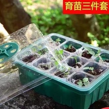 12孔育苗盒带盖透明三件套播种叶插焖养保湿育苗盘套装厂家包邮