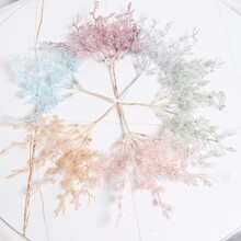 �羳��������F��ֲ�� �Ҿ��b�С��������Yϲ�Ǻ��b�DIY������
