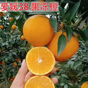 �Ĵ�����38̖����t���˹����������Ե��Ը��٘������箔��Y��