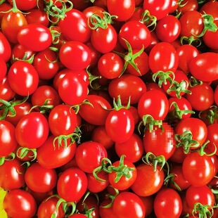 �}Ů���V���Fժ���rС��������С���t������ˮ�����l���uͨ����վ