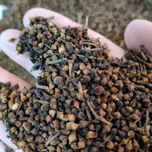 �V��ˮ�̻� ˮ���� Ұ��ˮ�̻� ˮӺ�� �o��ȡ��Ʒ