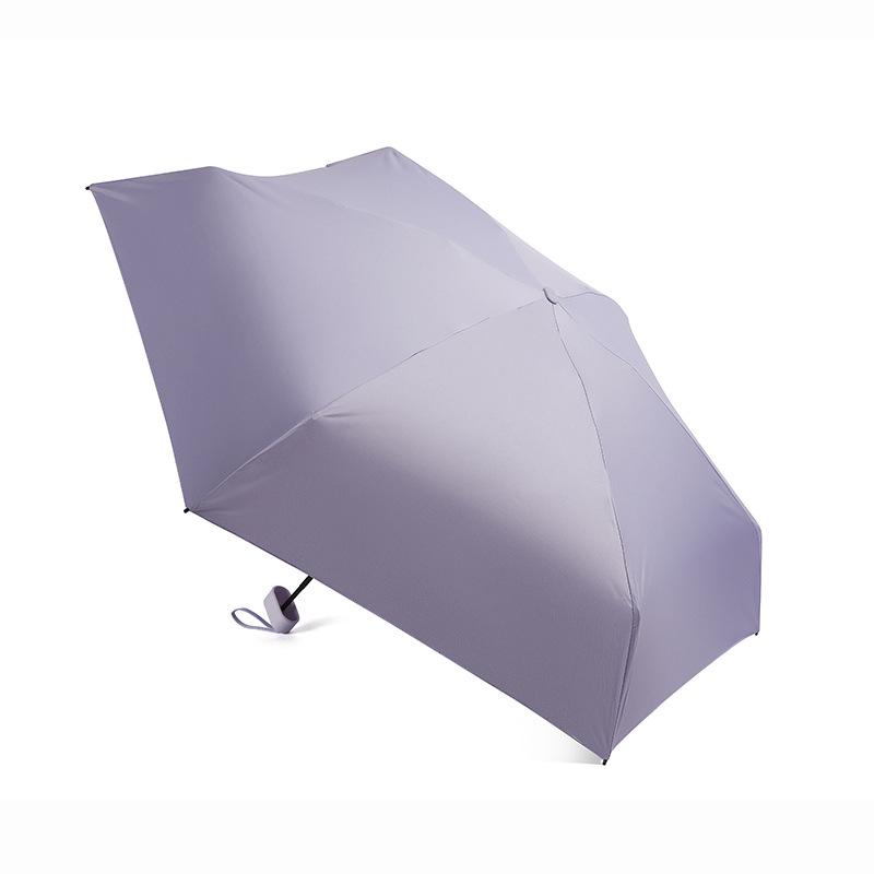 6 배 카드 우산-라벤더