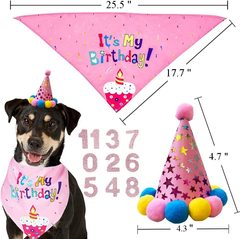 Pet Birthday Party Supplies Cross-border Bestselling Pet Dog Birthday Hat Scarf Number Three Set Manufacturer