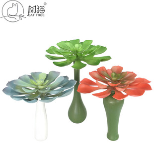 ��̖ʯɏ���������ֲ��20cm����ɏ�������z�����Ԕ[��ֲ��ٻ�