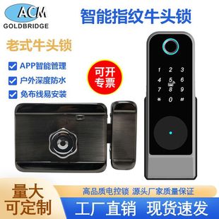 Wiring-Free Bull Head Lock Electronic Lock Anti-Theft Door Courtyard Fingerprint Lock Apartment Iron Door Graffiti Old-Fashioned Password Lock