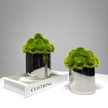 ʽGɫСlgӰ巿ܛbСͲ׻ˇƷ[