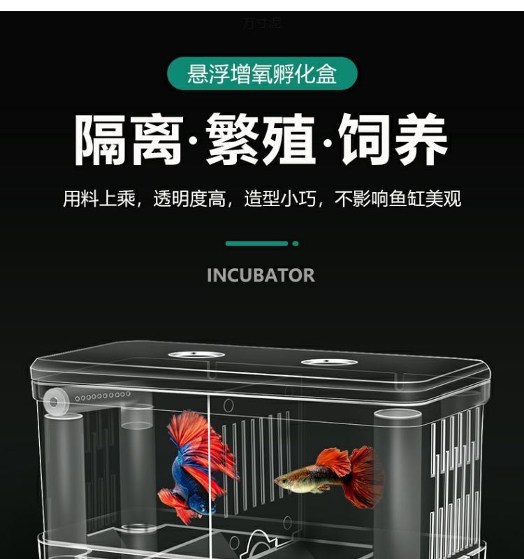 51eb6c1b-2eb9-4dbe-9664-dc4cc985a478.jpe