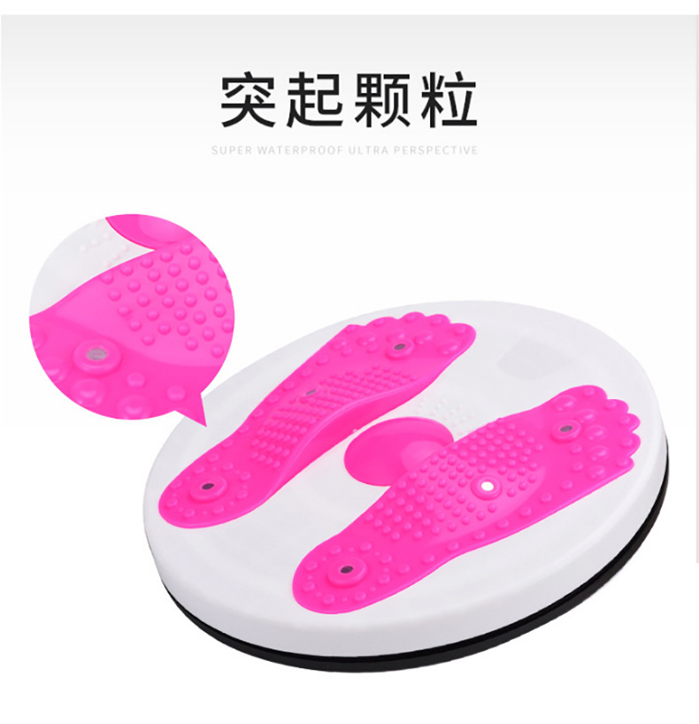 扭腰盘磁石大号扭扭机家用运动健身器材锻炼腰部器女士转转训练机