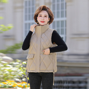 2024 Autumn New Vest Women's Outer Wear Slimming Waist Vertical Collar Vest Cyber Celebrous Vest Vest Vest Autumn and Winter