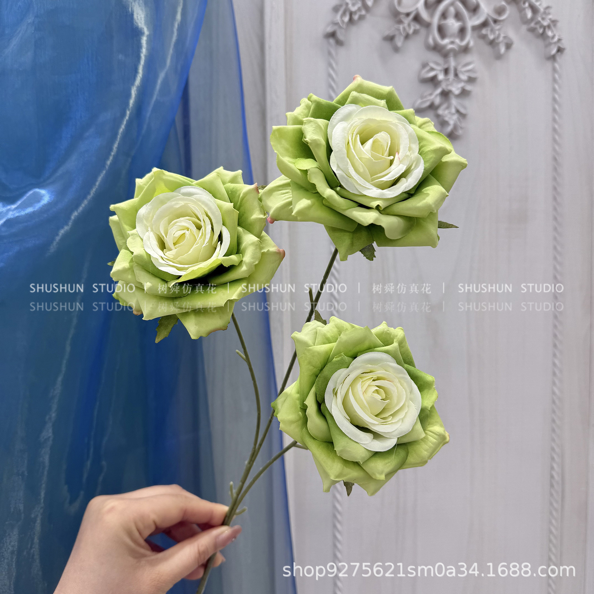 3 rizos de borde rosa-verde