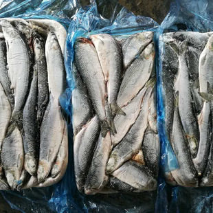 ����������r���~���E�~���b�������l���~̫ƽ������ƃ��rҰ��