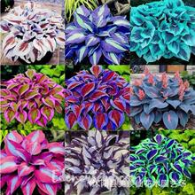 Nͺꎶ񴺰QݻNͥԺ׻