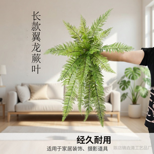 ����18�^��˹�~�ٗl�ڒ��L������ާ�쾰�b���Gֲˮ���ٗl