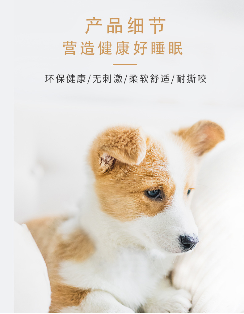 详情页_04.jpg