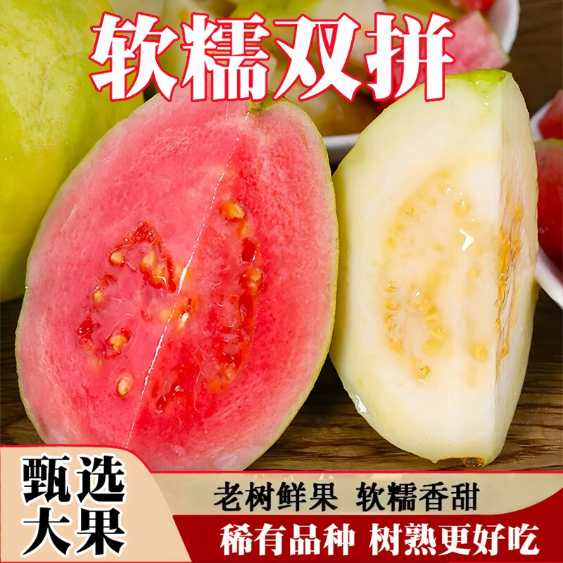 Гуава из Фуцзяня, красная и белая, смешанная, в коробке, целые плоды, крупные, с красной мякотью, свежие, мягкие, сладкие, только что собранные.