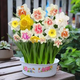 �M���ذ���ˮ�ɷN���ļ��_���҃����Ի��ܶ����ͺ�ˮ�����໨�N��