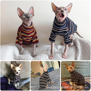 Blue Turtleneck Striped Cat Clothes Cat Shirt Hairless Cat Sweater Hairless Cat Striped T-Shirt