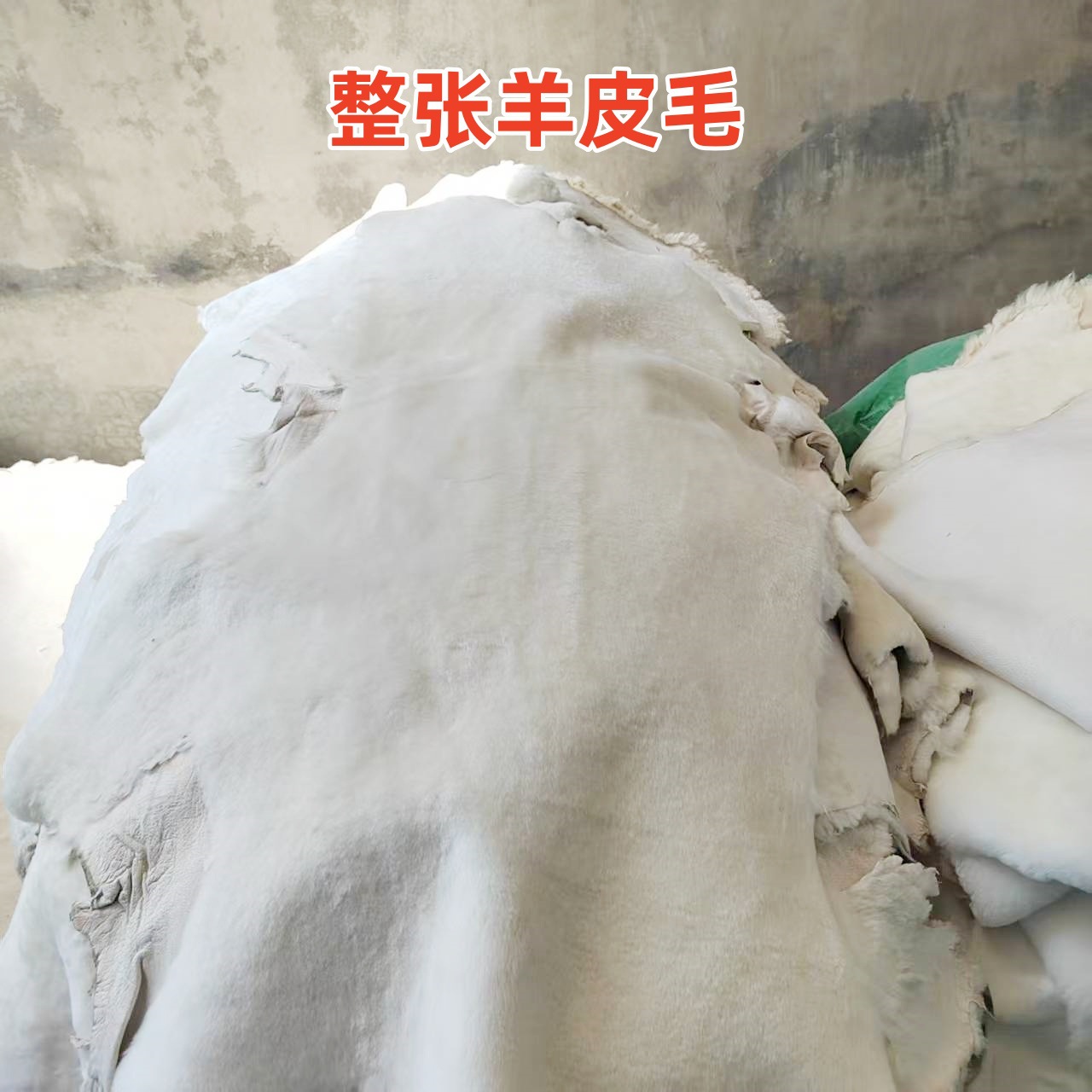 微信图片_20250617101048