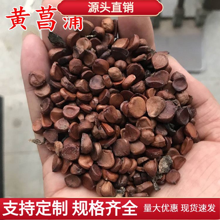 Yellow Pu seeds