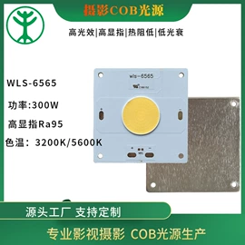 COB LED;贴片式LED