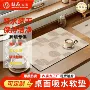 加厚开店必备新款吸水垫