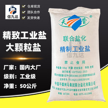 信九达批发工业盐 洗涤日化增稠 陶瓷玻璃融雪用 工业级 工业盐