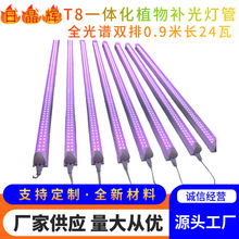 T8һ�w��ȫ���Vֲ���a��� ������ɫ��ͽ�L �҃ȼ���һ�w������