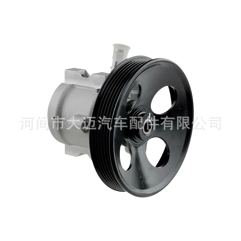 96451419 96834912 Hydraulic Steering Power Pump Assembly Automotive Power Steering Booster Pump