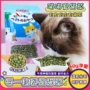 即食洁齿磨牙宠物用品
