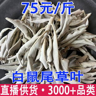 ��β�� ��ɫ��β�� ����β���~���l���l