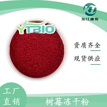 树莓粉 覆盆子粉 树莓果粉 覆盆子果粉 树莓冻干粉 东江康泰