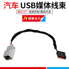 Sync 2 SYNC 3 USBý�w����ģ�K���Դ�m���������m���m��춸���