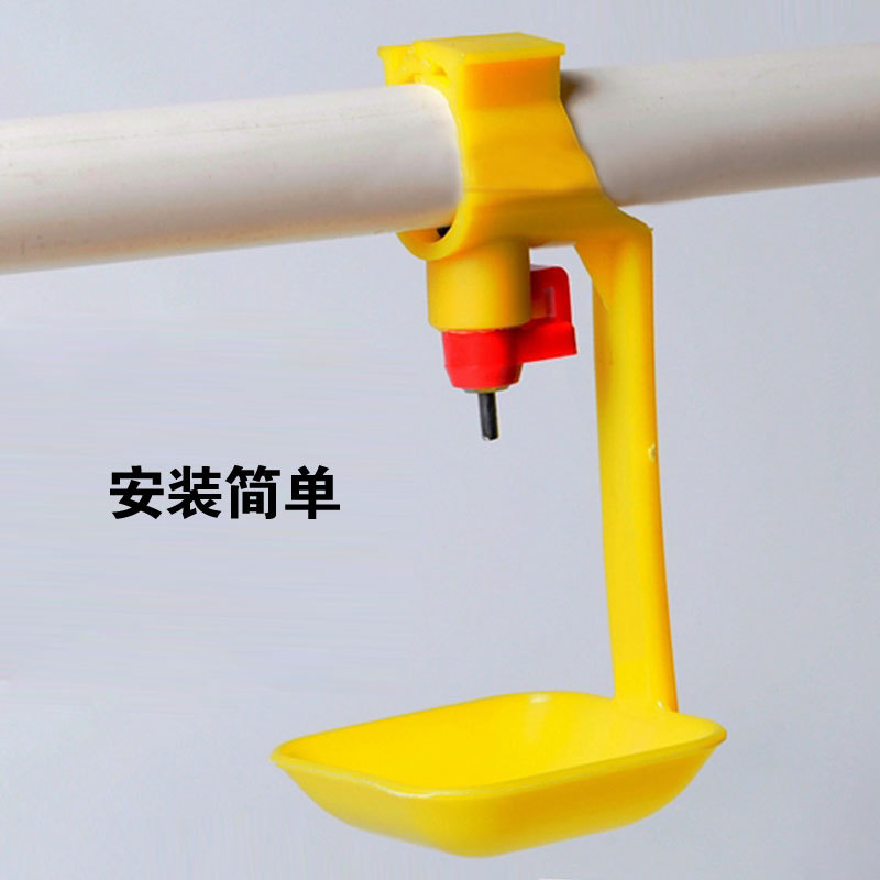 Fuente de consumición automática de la taza de la manguera de alimentación automática de la taza para el pollo