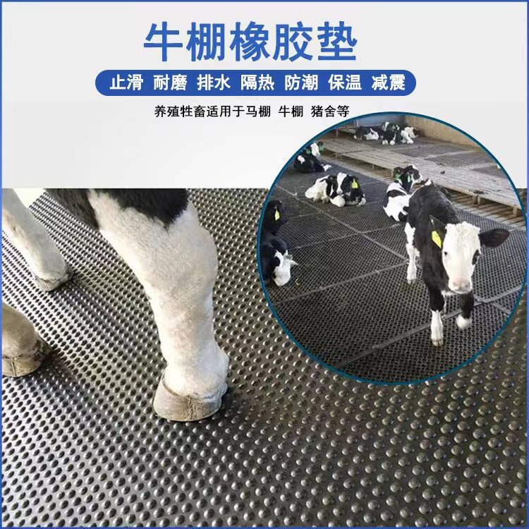 牛棚耐磨橡胶畜牧垫圆点养殖牛床防滑垫加厚耐磨减震防滑橡胶板