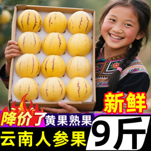 ����˅���9��A�����������rˮ�����޹��S���߲��˅���������
