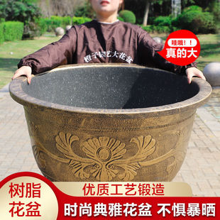 �ش�̖�����֬�Ӻ�����F������̨ͥԺ�N�仨���B�ɻ�������